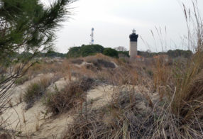 VALORISATION ECOTOURISTIQUE DU PHARE DE L'ESPIGUETTE - LE GRAU DU ROI, 2018 - 2021