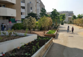 Place des Sengles - Les Hespérides à Vitrolles, 2017- 2019