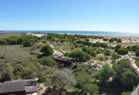 VALORISATION ECOTOURISTIQUE DU PHARE DE L'ESPIGUETTE - LE GRAU DU ROI, 2018 - 2023